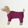 Sweet Dreams Dog Pajamas